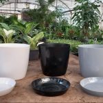 اصيص بروبيلين