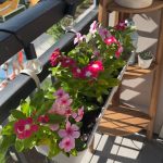 حوض مقاس 50 سم مستطيل