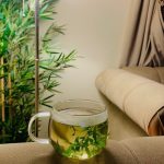 عرض الأعشاب العطري ( 5 نباتات جميعها تصلح للأكل )