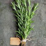 عرض الاعشاب رقم 2