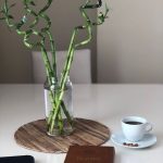 عود بامبو مقاس 80 سم