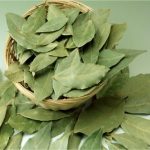 ورق لوري (ورق الغار )