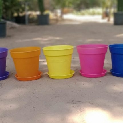 اصيص دائري مقاس ١٩ سم