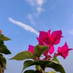 جهنميه قزميه حجم كبير