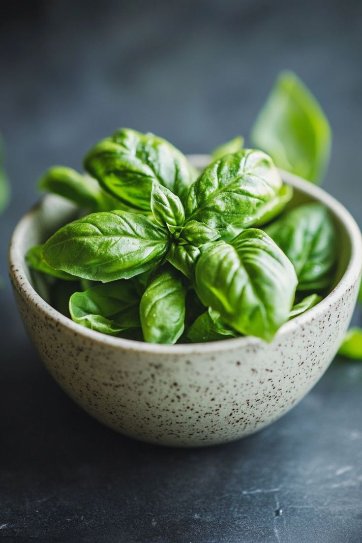 Basil (Ocimum basilicum)_ حوض مستطيل ريحان بلدي مقاس 50 سم - الصورة 1