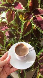 ⁦كاليوس  ( سجاد )⁩ - الصورة ⁦3⁩