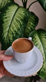 ⁦دفنبخيا فى اصيص دائري طوبي 35 س جاهز⁩ - الصورة ⁦2⁩