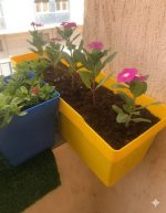 ⁦حوض مستطيل مقاس 50 سم زهور قطيفه⁩ - الصورة ⁦4⁩