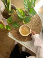 ⁦بوتس فى اصيص  دائري مقاس 19 سم ملون⁩ - الصورة ⁦3⁩