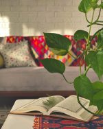 ⁦بوتس فى اصيص  دائري مقاس 19 سم ملون⁩ - الصورة ⁦2⁩