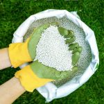 سماد NPK - مشتل اسكندرية