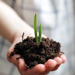 سماد منجنيز