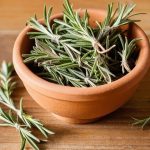 روز ماري - مشتل اسكندرية