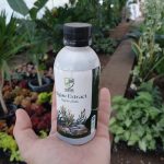 سماد طحالب بحرية