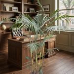 نخيل شمادوريا خارجي