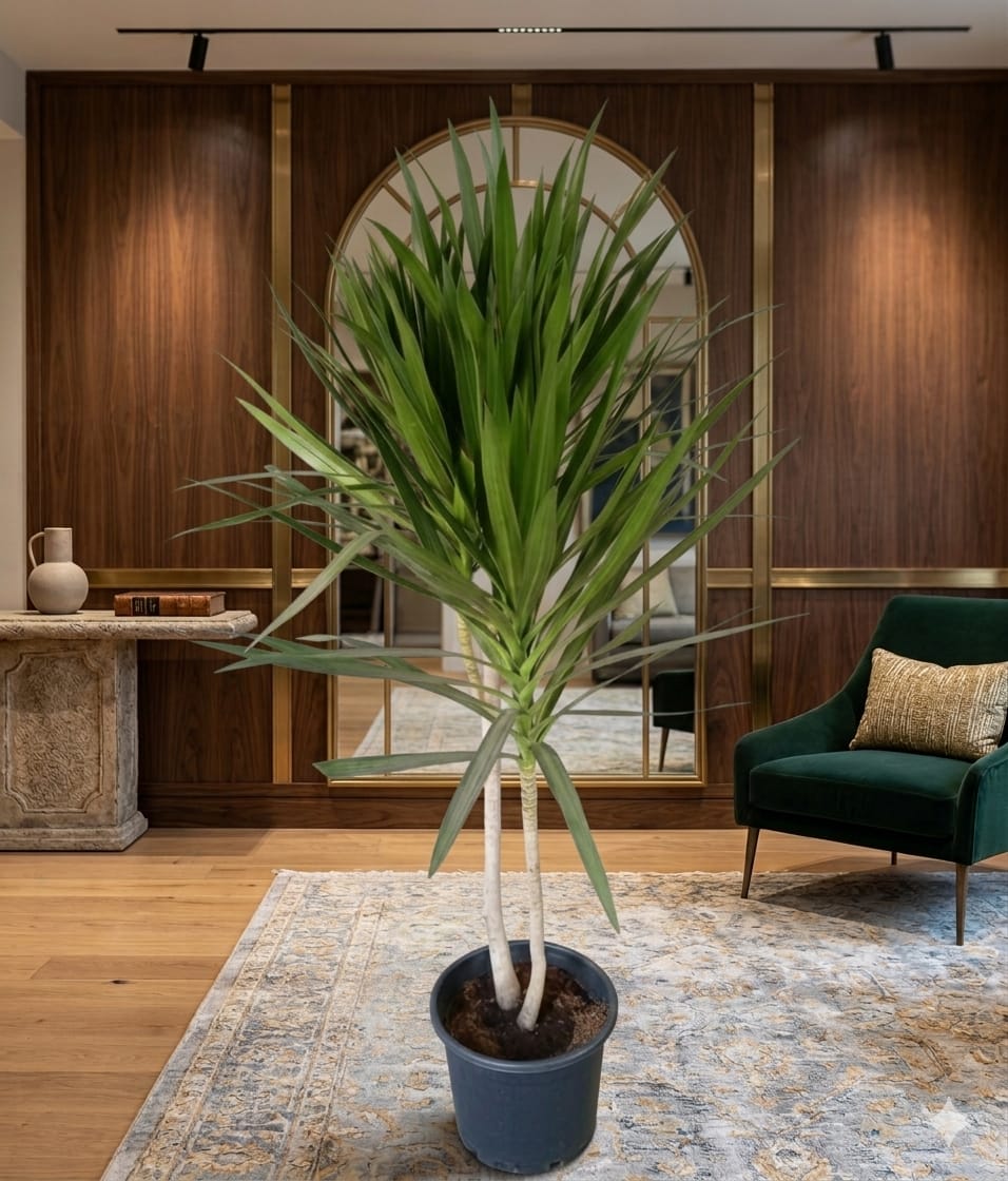 WhatsApp Image 2026-04-04 at 11.10.53 PM (3) دراسينا 3 هيد - الصورة 1