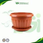 اصيص خورشيد مقاس 35 سم – طوبي