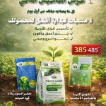 عرض التاسيس الذكي