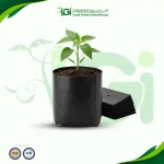 أكياس شتلات – 1 ك