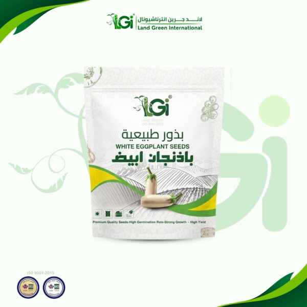 D8A8D8A7D8B0D986D8ACD8A7D986-D8A7D8A8D98AD8B6-600x600-1.jpg بذور باذنجان أبيض 5 جرام - الصورة 1