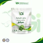 بذور سبانخ 10 جرام