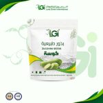 بذور كوسة هجين – 10 بذرات
