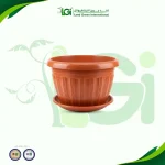 اصيص زراعه خورشيد – مقاس ٢٠ سم طوبي