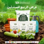 عرض الربيع للمبتدئين