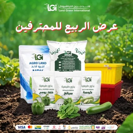 عرض الربيع – للمحترفين