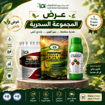 عرض المجموعة السحرية